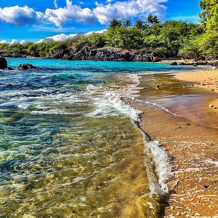 Kona Bali Kai #319 Leilighet Kailua-Kona Eksteriør bilde