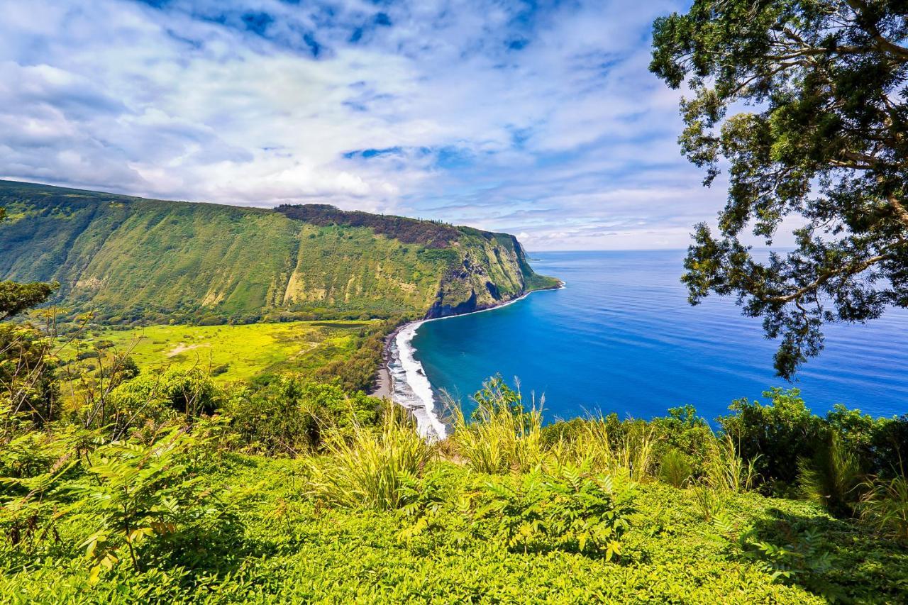 Kona Bali Kai #319 Leilighet Kailua-Kona Eksteriør bilde