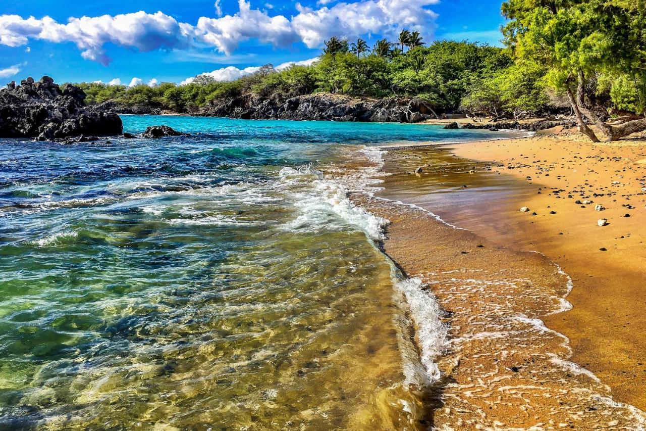 Kona Bali Kai #319 Leilighet Kailua-Kona Eksteriør bilde